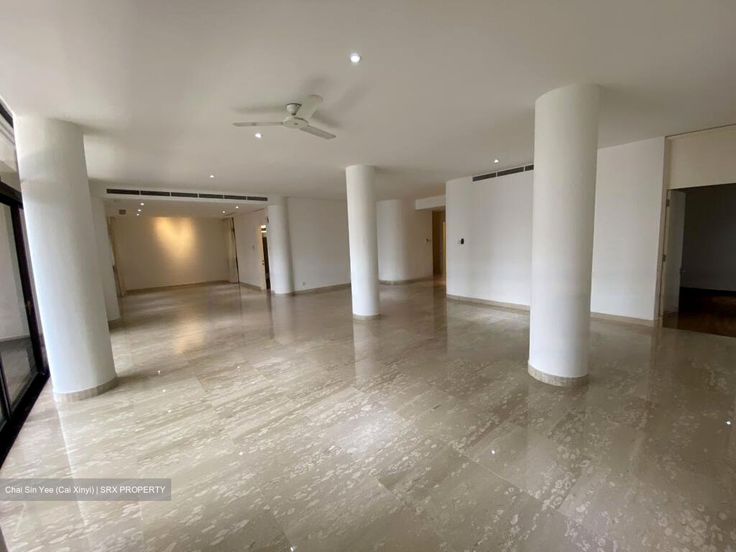 The Colonnade (D10), Condominium #469865211